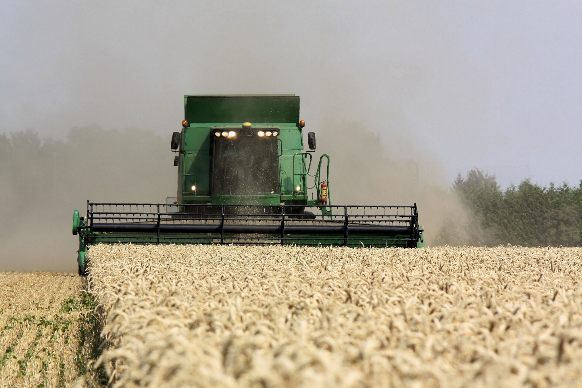 Combine in wheat field.jpg